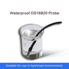 DS18B20 External Temperature Probe for WS, WS1-PRO, SP1 and GS1-DS
